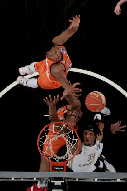 他们的布局 他们的布局